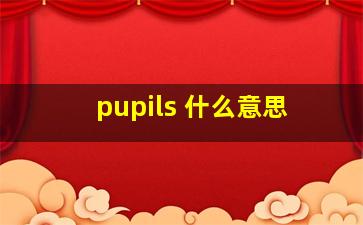 pupils 什么意思